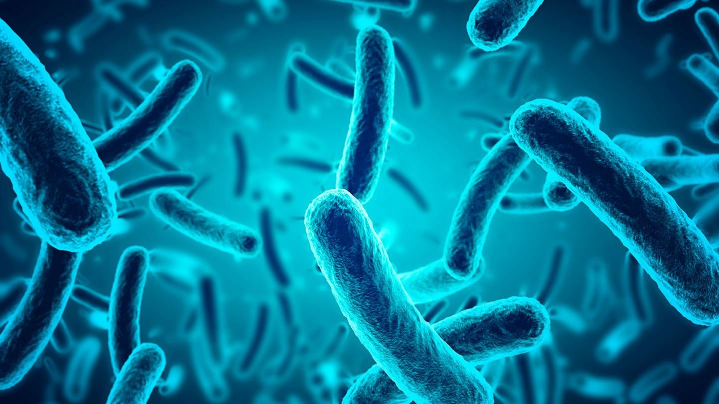 Microscopic blue bacteria background