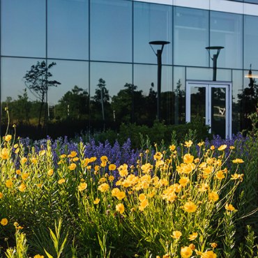 Sustainable landscaping design at Air Products' global headquarters in Lehigh Valley, Pennsylvania